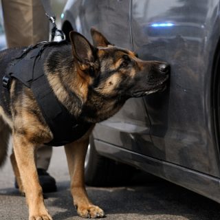 Seven Minutes After the Stop Was Over