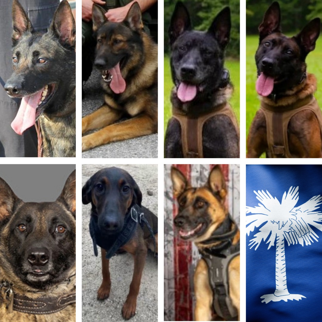 Fargo’s, Hyco’s, Rico’s, Coba’s, Wick’s, Mikka’s, and Bumi’s Law